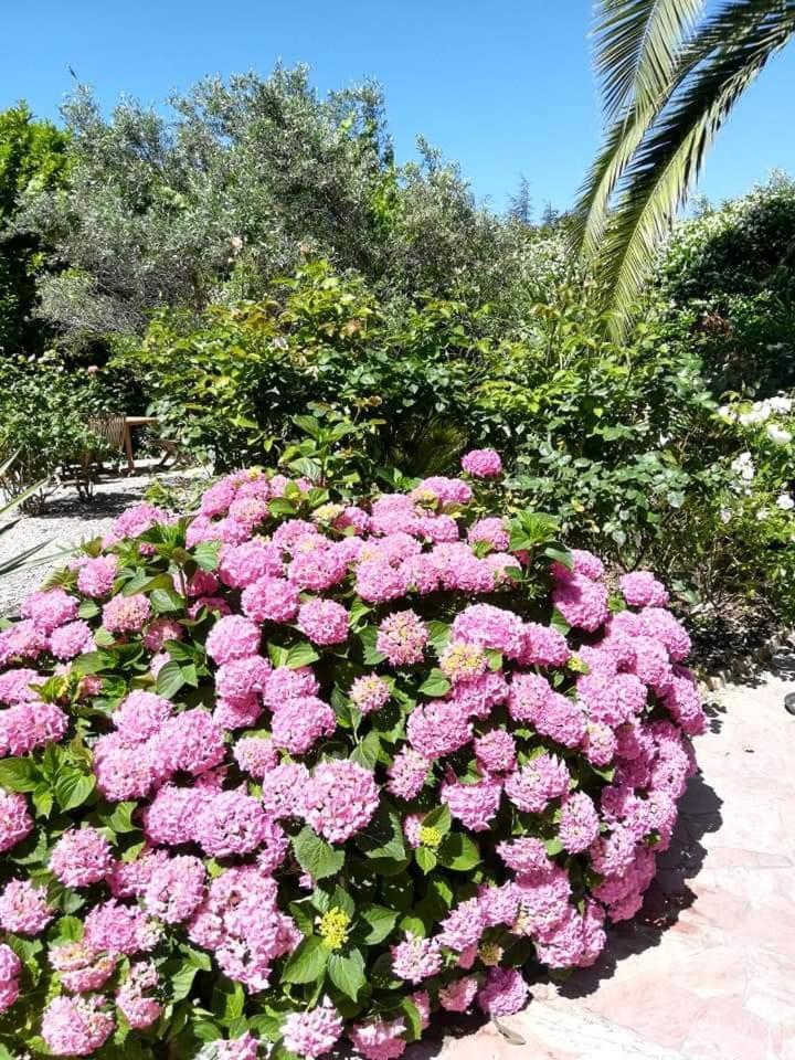 Villa Angel - Spa Caunes-Minervois Luaran gambar