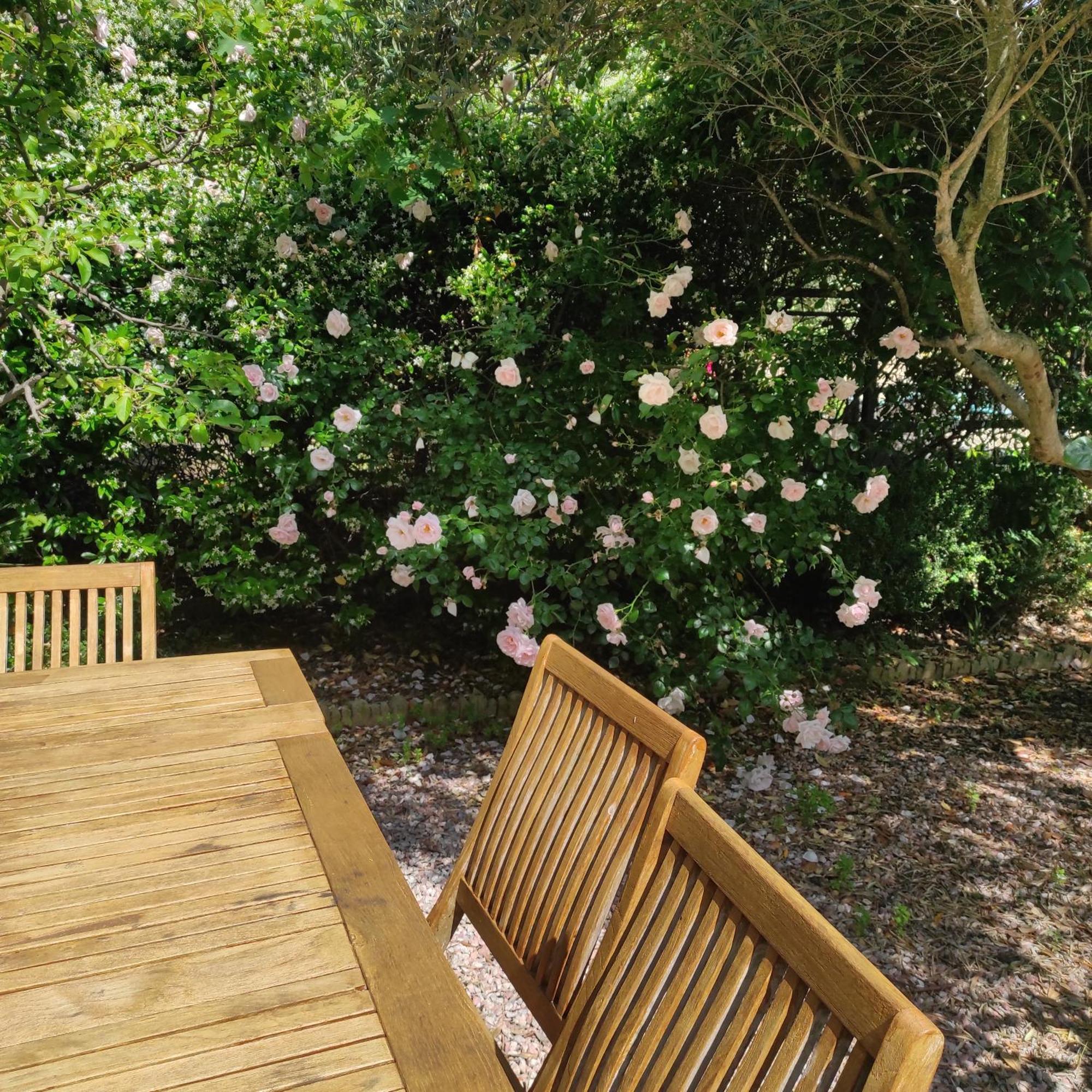 Villa Angel - Spa Caunes-Minervois Luaran gambar