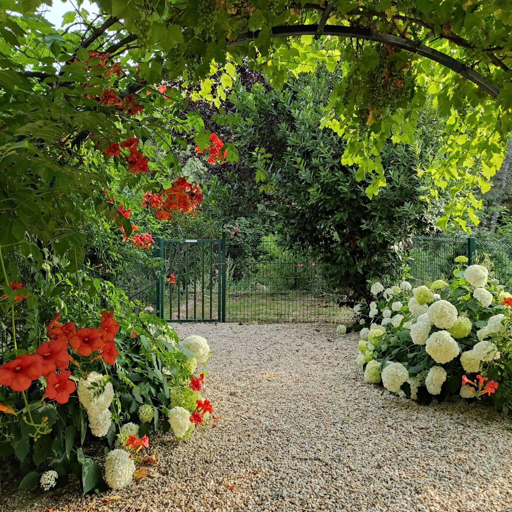 Villa Angel - Spa Caunes-Minervois Luaran gambar