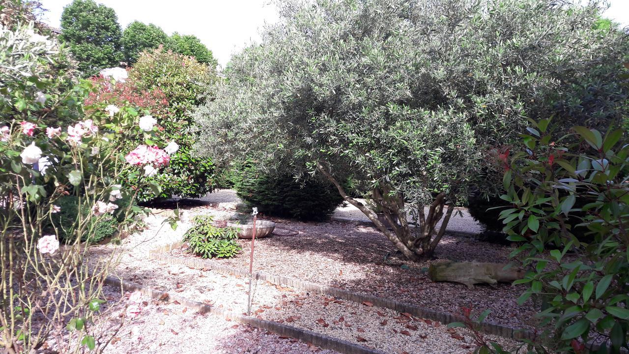 Villa Angel - Spa Caunes-Minervois Luaran gambar